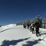 Premium Wanderhotel Steirerhof 4*