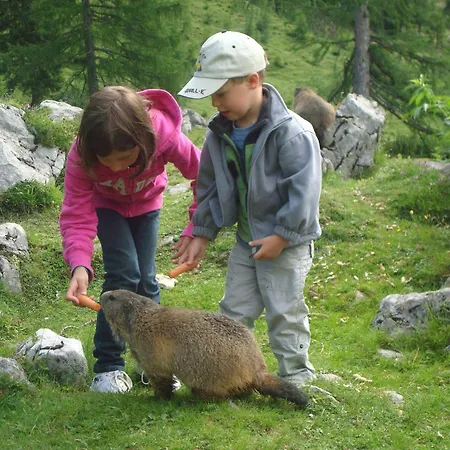 Premium Wanderhotel Steirerhof 호텔