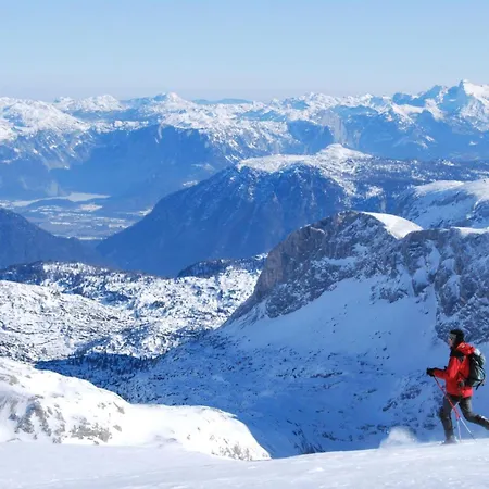 호텔 Premium Wanderhotel Steirerhof 4*