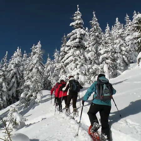 Premium Wanderhotel Steirerhof Hotel