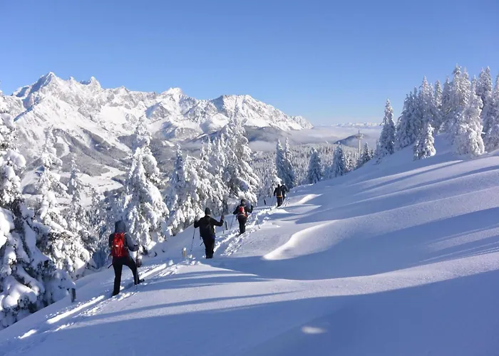 Premium Wanderhotel Steirerhof 4* 斯拉德明