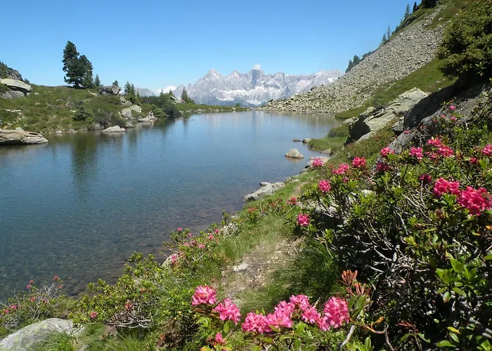 Premium Wanderhotel Steirerhof Hotel 4*