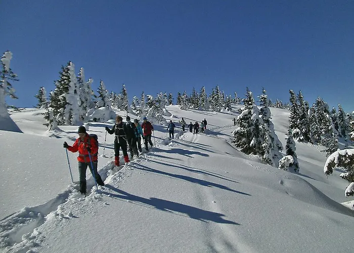 Premium Wanderhotel Steirerhof 酒店 4*