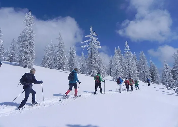 Premium Wanderhotel Steirerhof 4*