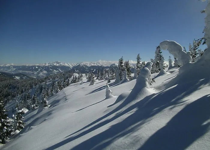 Premium Wanderhotel Steirerhof Hotel