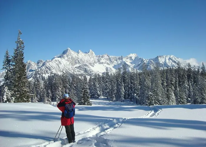 Premium Wanderhotel Steirerhof Hotel 4*